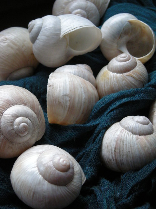 Ulity - alabastrové I. — foto 2