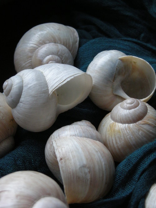 Ulity - alabastrové I. — foto 3