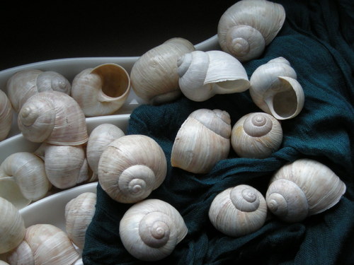 Ulity - alabastrové I. — foto 4