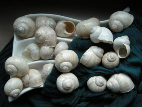 Ulity - alabastrové I. — foto 5