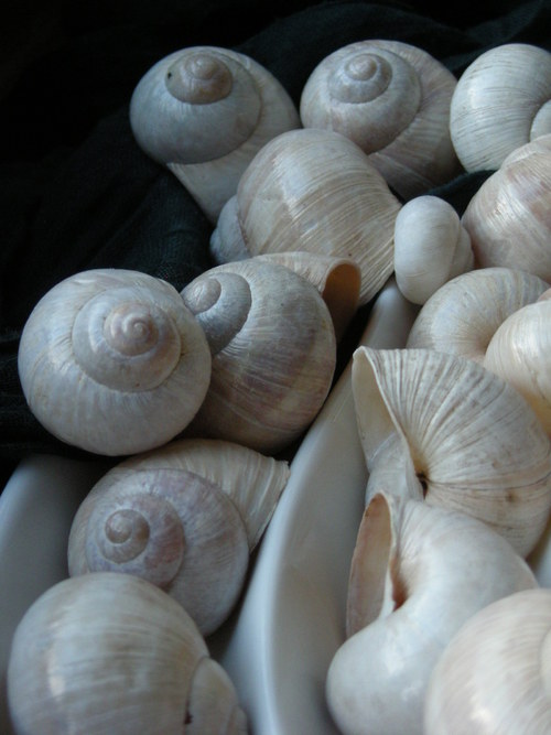 Ulity - alabastrové II. — foto 5