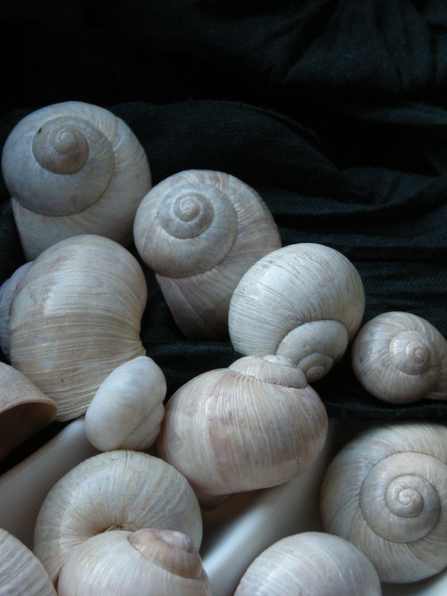 Ulity - alabastrové II. — foto 6