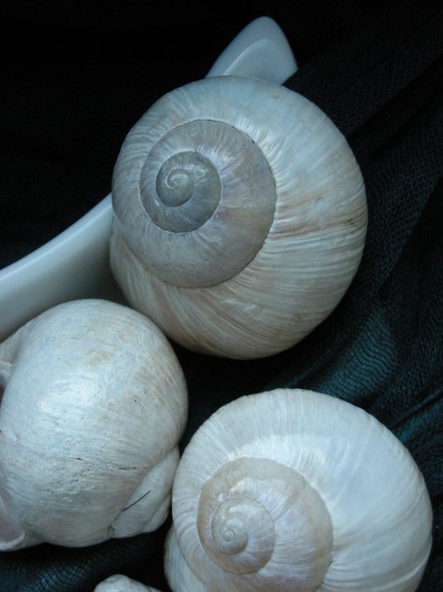 Ulity - alabastrové III. — foto 2
