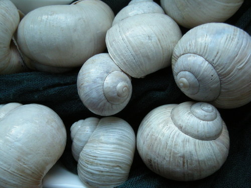 Ulity - alabastrové III. — foto 3