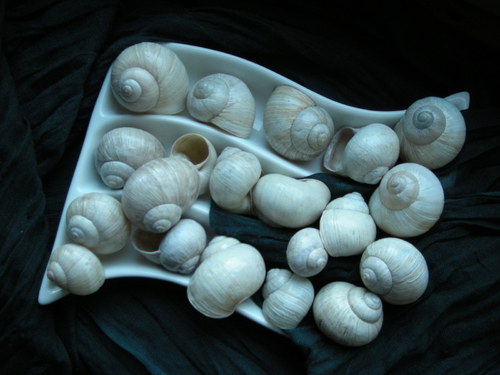 Ulity - alabastrové III. — foto 6