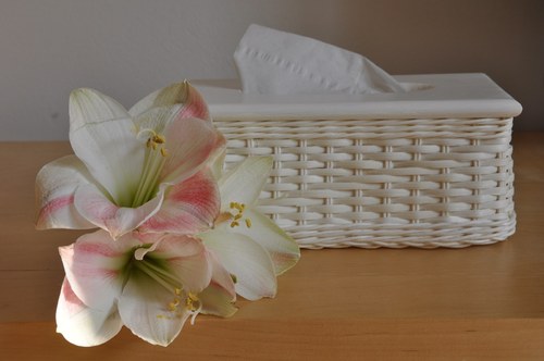 Bílý kapesníkovník — foto 3