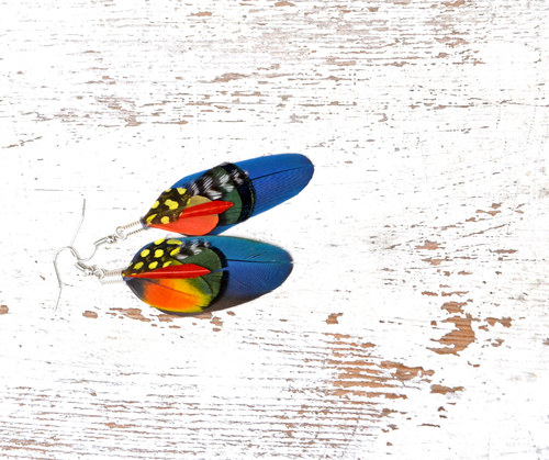 Aratinga mix — foto 5