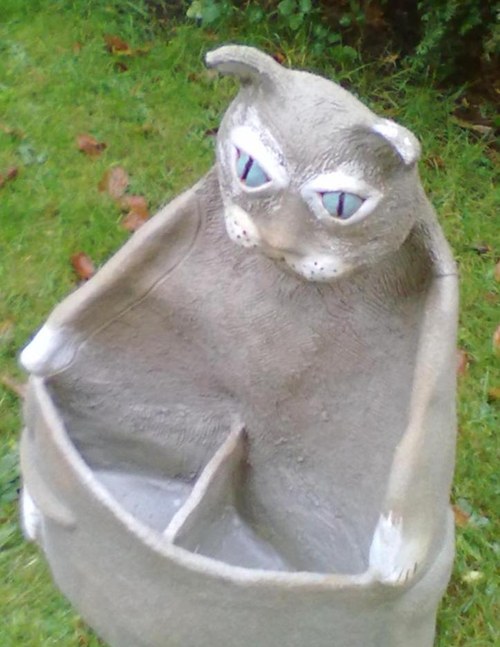 Kocour modroočko — foto 2