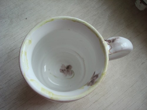 HRNEK Rosa Ile de Bourbon Violet — foto 2
