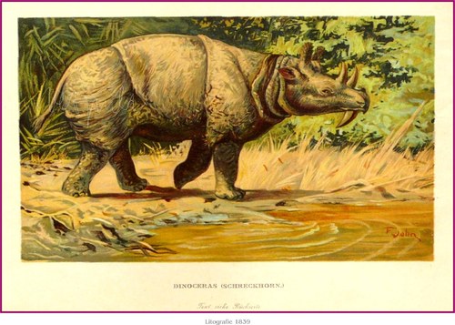 Prehistorická zvířata — foto 2