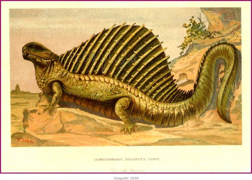 Prehistorická zvířata — foto 3