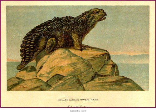 Prehistorická zvířata — foto 5
