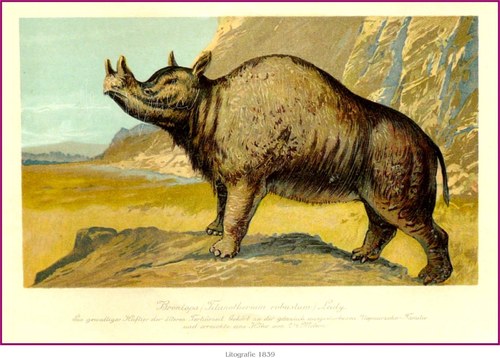 Prehistorická zvířata — foto 6