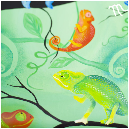 S chameleonem se nenudíš! — foto 5