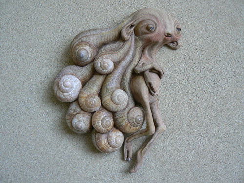 Křehotinka sličná — foto 2