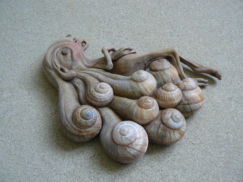 Křehotinka sličná — foto 3