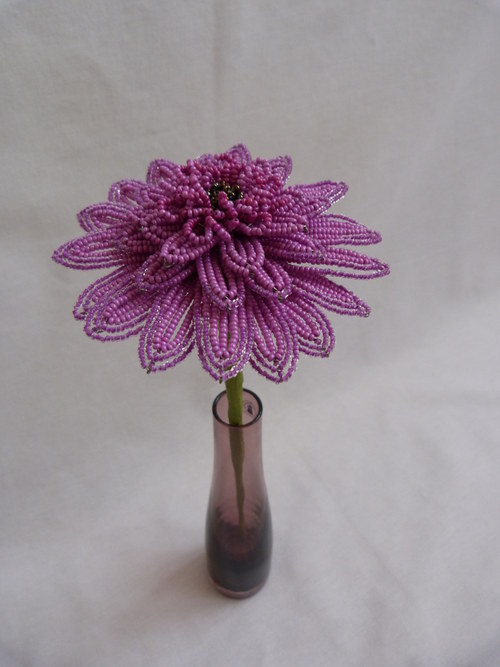 Gerbera — foto 3