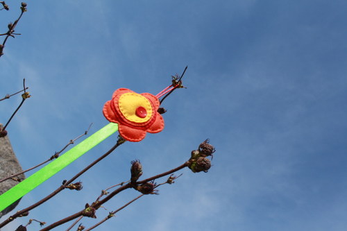 Sponkovníček kytičkový — foto 2