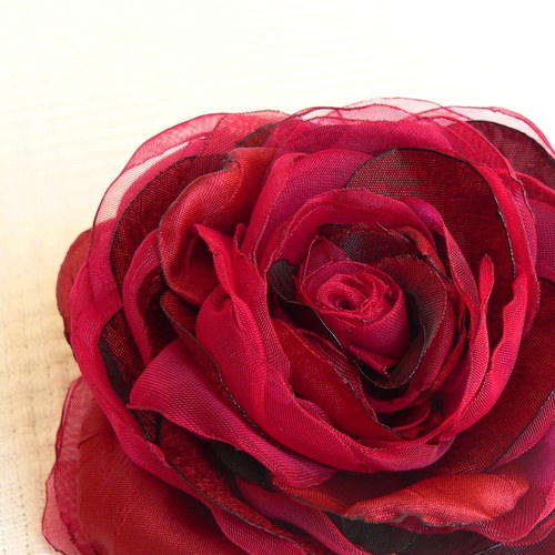 Where the wild roses grow — foto 2