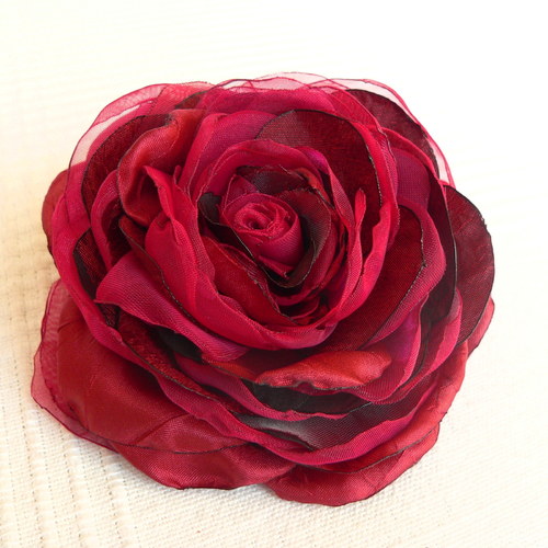 Where the wild roses grow — foto 3