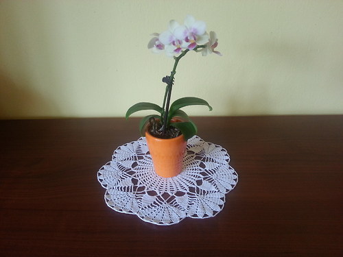 Bílá háčkovaná dečka — foto 3