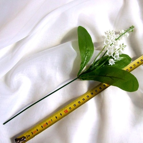 Konvalinky — foto 2