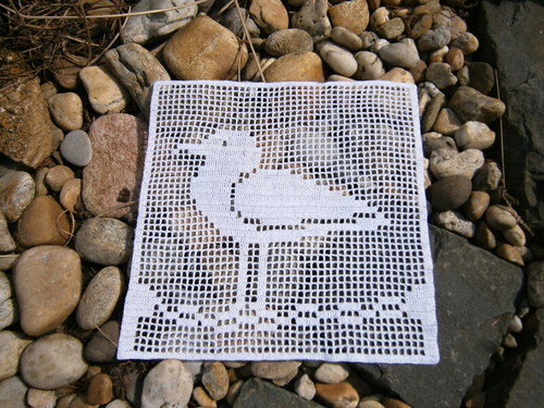 Racek + rybky — foto 2