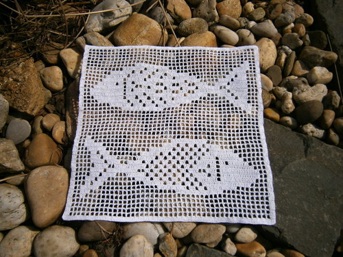 Racek + rybky — foto 3