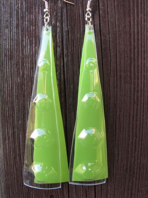Lemna minor — foto 5