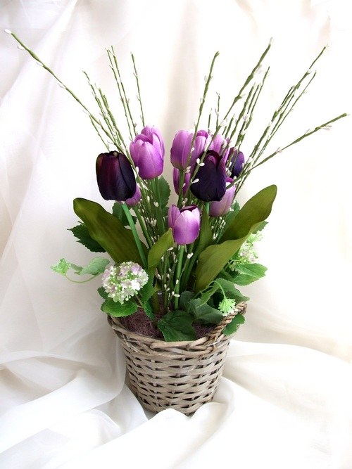 Fialové tulipány — foto 2