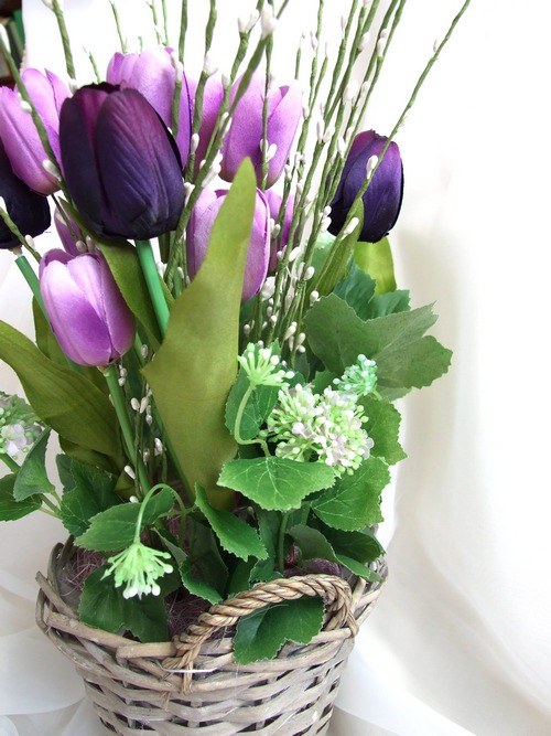 Fialové tulipány — foto 4