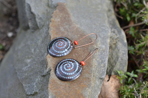 Spirály puntíkované — foto 3