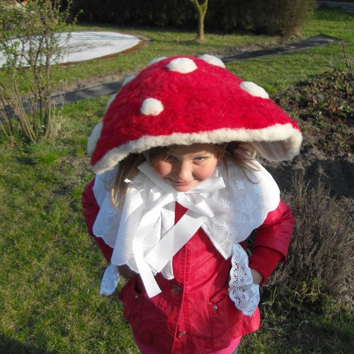 Muchomůrka mochomůrka... — foto 4