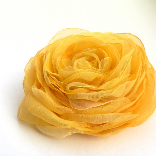Where the wild roses grow — foto 2