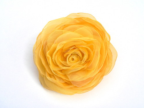 Where the wild roses grow — foto 3