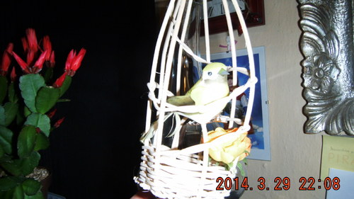 Klícka s ptáčkem — foto 2