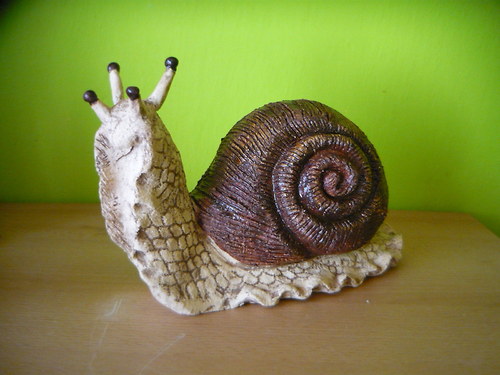 Šnek 2 — foto 4