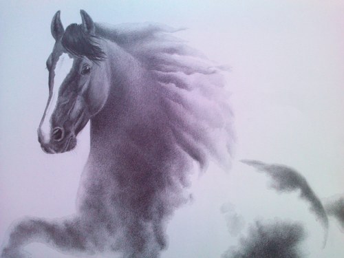 Equine Element - Big Cloudy — foto 2