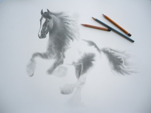 Equine Element - Big Cloudy — foto 3