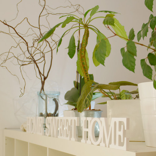 Home Sweet Home — foto 4