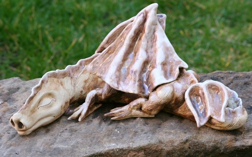 Perleťový drak — foto 4