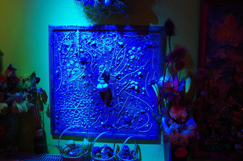 Prosinec — foto 3