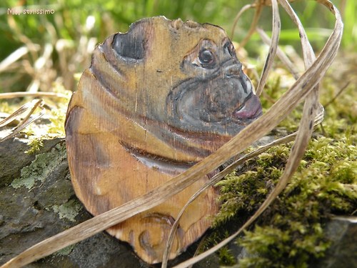 Mopsíček... brožka 50% sleva — foto 4
