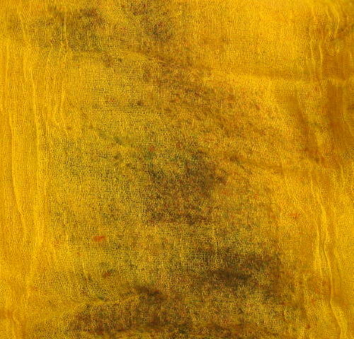 ŽLUTÁ — foto 2