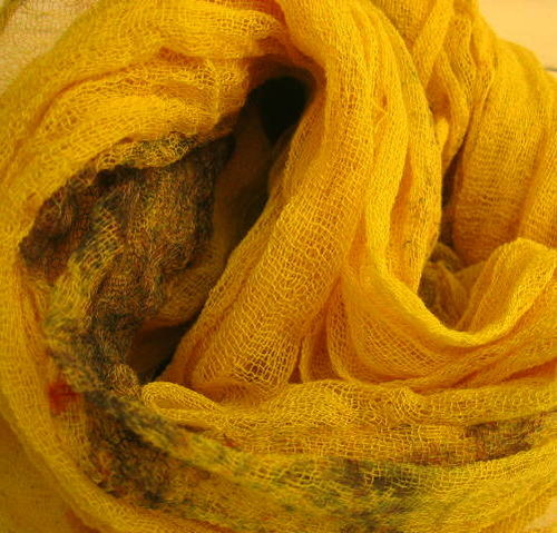 ŽLUTÁ — foto 5