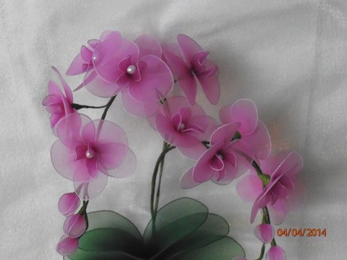 Orchidej zápich na přání — foto 2