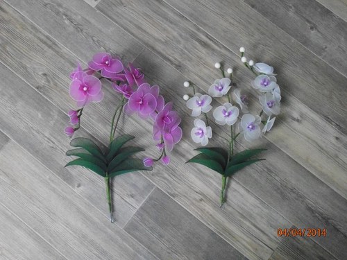 Orchidej zápich na přání — foto 4