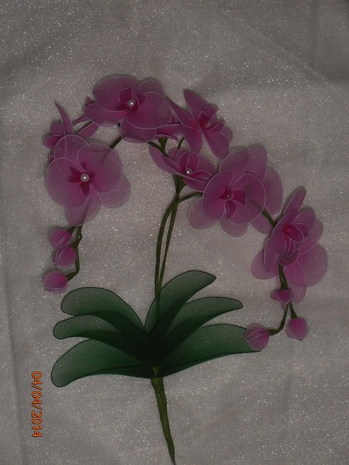 Orchidej zápich na přání — foto 5