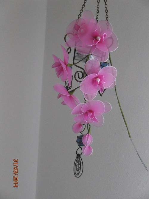 Orchidej zápich na přání — foto 6