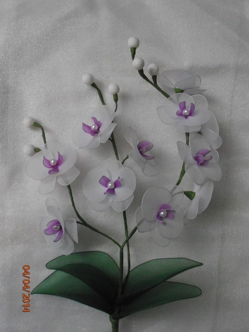 Orchidej zápich na přání — foto 2